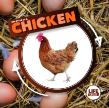 Image for Life cycle of a chicken