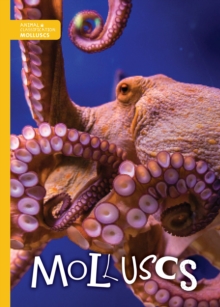 Image for Molluscs