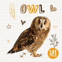 Image for Owl