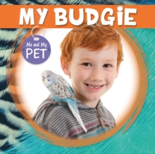 Image for My Budgie
