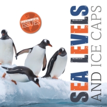 Image for Sea levels and ice caps