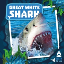 Image for Great white shark