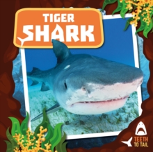 Image for Tiger shark