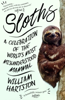 Image for Sloths!  : a celebration of the world's most misunderstood mammal
