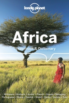 Image for Africa  : phrasebook & dictionary