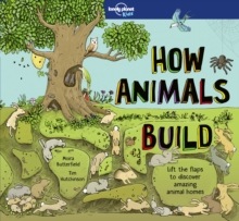 Image for How animals build  : lift the flaps to discover amazing animal homes