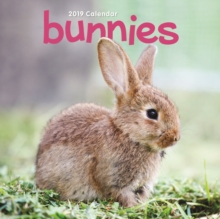 BUNNIES M 2019