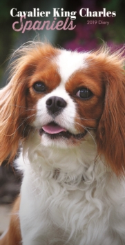 Image for Cavalier King Charles Spaniels Slim D 2019