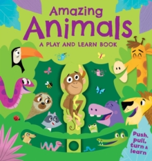 Image for Amazing Animals: A Play and Learn  Book