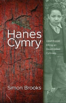 Image for Hanes Cymry : Lleiafrifoedd Ethnig a'r Gwareiddiad Cymraeg