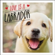 Love is a Labrador: A Lab-Tastic Celebration of the World’s Favourite Dog