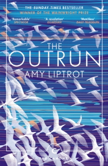 Image for The Outrun