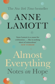 Image for Almost everything  : notes on hope