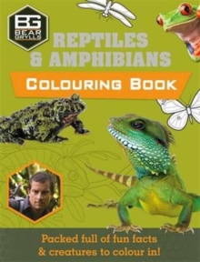 Image for Bear Grylls Colouring Books: Reptiles
