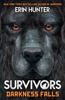 Image for Survivors Book 3: Darkness Falls