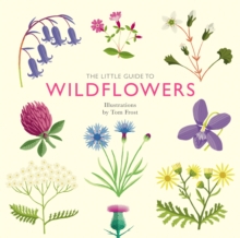 Image for The little guide to wildflowers
