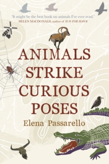 Image for Animals Strike Curious Poses