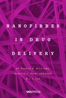 Image for Nanofibres in drug delivery