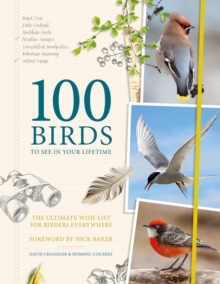 100 Birds to See in Your Lifetime