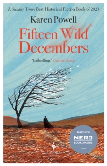 Image for Fifteen wild Decembers