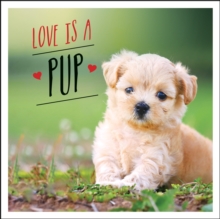 Love is a Pup: A Dog-Tastic Celebration of the World’s Cutest Puppies