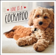 Love is a Cockapoo: A Dog-Tastic Celebration of the World’s Cutest Breed