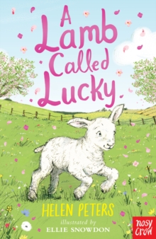 Image for A lamb called Lucky