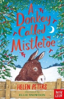 Image for A donkey called Mistletoe