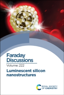 Image for Luminescent silicon nanostructures