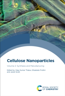 Image for Cellulose Nanoparticles. Synthesis and Manufacturing