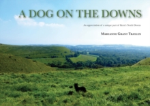 Dog on the Downs