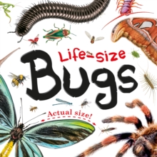 Image for Life-size: Bugs