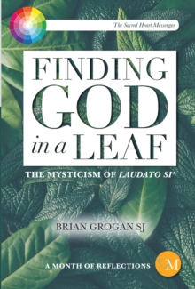 Image for Finding God in a leaf: the mysticism of Laudato Si'
