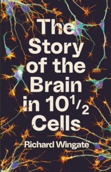 Image for The Story of the Brain in 10½ Cells