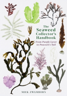 The Seaweed Collector’s Handbook: From Purple Laver to Peacock’s Tail