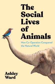 The Social Lives of Animals: How Co-operation Conquered the Natural World