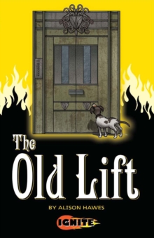 Image for The old lift