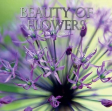 Beauty of Flowers