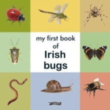Image for My first book of Irish bugs