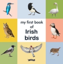 Image for My first book of Irish birds