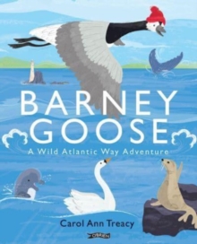Image for Barney Goose