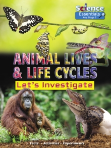 Image for Animal lives & life cycles