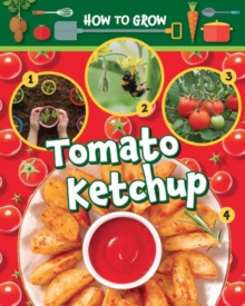 How to Grow Tomato Ketchup