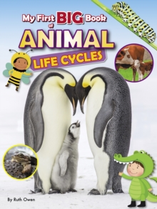 Image for My First BIG Book of ANIMAL Life Cycles