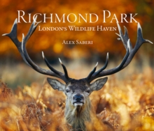 Richmond Park: London’s Wildlife Haven