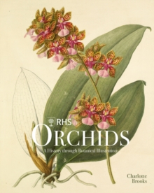 Image for RHS orchids