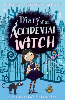 Image for Diary of an accidental witch