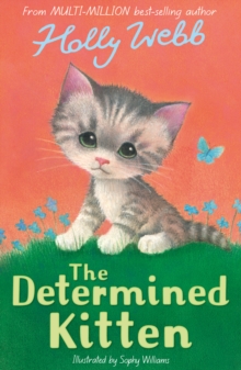 Image for The determined kitten
