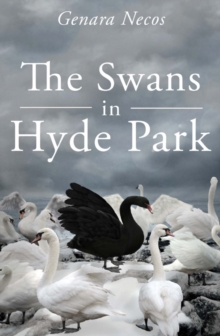 Swans in Hyde Park