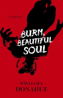 Image for Burn, beautiful soul